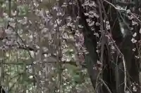 神炊館神社 ⁂奥州須賀川総鎮守⁂の自然