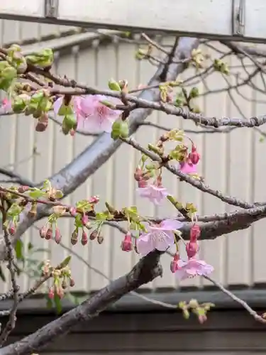 十番稲荷神社(東京都)
