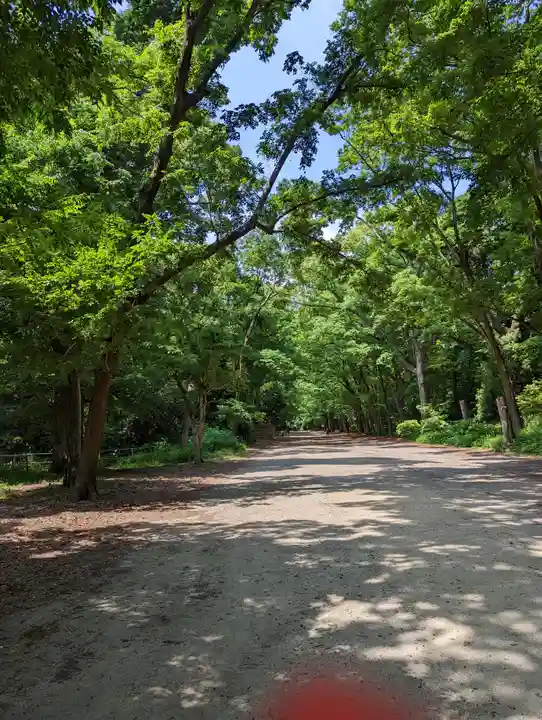 賀茂御祖神社(下鴨神社)(京都府)