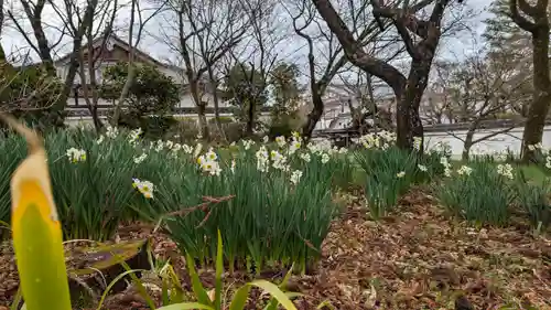 真正極楽寺（真如堂）(京都府)