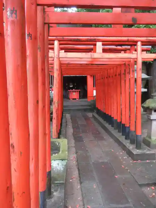 宇都宮二荒山神社の鳥居