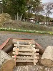 成田山瀧泉寺の体験その他