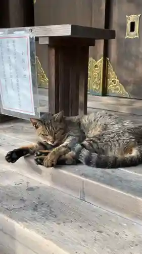 和泉國一之宮　大鳥大社の動物