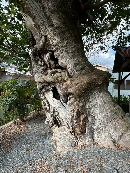 蔵林寺(京都府)