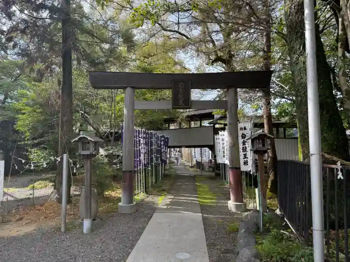 白金龍王社の{uncategorized: "未分類", other: "その他", undefined: "問題あり", building: "その他建物", grave: "お墓", sacred_gate: "鳥居", guardian: "狛犬", statue: "像", buddha: "仏像", history: "歴史", nature: "自然", garden: "庭園", animal: "動物", pagoda: "塔", temizu: "手水舎", mountain_gate: "山門・神門", sanctuary: "本殿・本堂", subordinate: "末社・摂社", art: "芸術", scenery: "景色", jizo: "地蔵", ema: "絵馬", goshuin: "御朱印", omikuji: "おみくじ", items: "授与品その他", amulet: "お守り", goshuincho: "御朱印帳", eats: "食事", festival: "お祭り", votive_dance: "神楽", shichigosan: "七五三参", wedding: "結婚式", experience: "体験その他", initially: "初詣", around: "周辺", anti_infection: "感染症対策"}