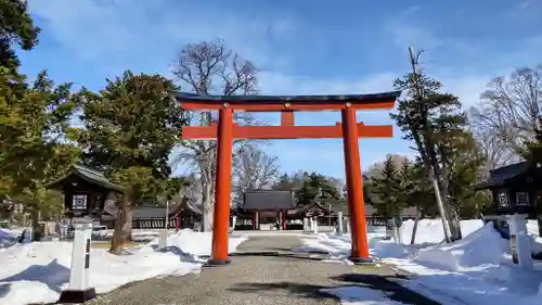 北海道護國神社の鳥居