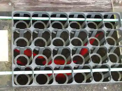 地蔵院（旧法界寺）(滋賀県)