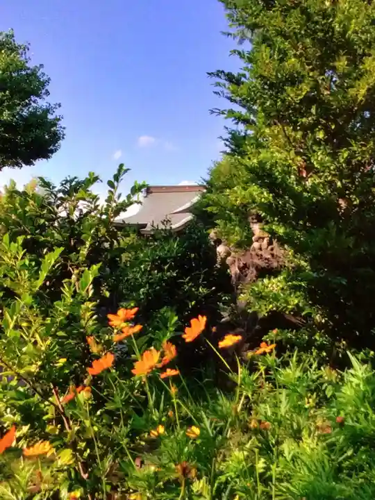 鷺宮八幡神社(東京都)