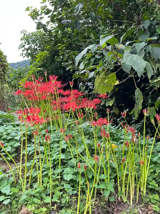 宝城坊(神奈川県)