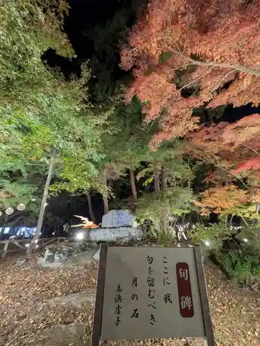 宝登山神社(埼玉県)