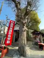 開運地蔵尊庚甲の{uncategorized: "未分類", other: "その他", undefined: "問題あり", building: "その他建物", grave: "お墓", sacred_gate: "鳥居", guardian: "狛犬", statue: "像", buddha: "仏像", history: "歴史", nature: "自然", garden: "庭園", animal: "動物", pagoda: "塔", temizu: "手水舎", mountain_gate: "山門・神門", sanctuary: "本殿・本堂", subordinate: "末社・摂社", art: "芸術", scenery: "景色", jizo: "地蔵", ema: "絵馬", goshuin: "御朱印", omikuji: "おみくじ", items: "授与品その他", amulet: "お守り", goshuincho: "御朱印帳", eats: "食事", festival: "お祭り", votive_dance: "神楽", shichigosan: "七五三参", wedding: "結婚式", experience: "体験その他", initially: "初詣", around: "周辺", anti_infection: "感染症対策"}