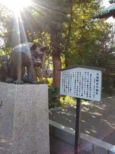 稲毛神社(神奈川県)
