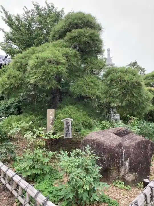 龍華寺(神奈川県)