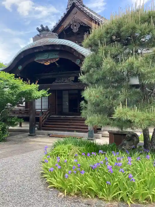 得浄明院(善光寺別院)の本殿・本堂