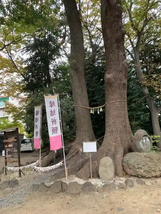 開運招福 飯玉神社の自然