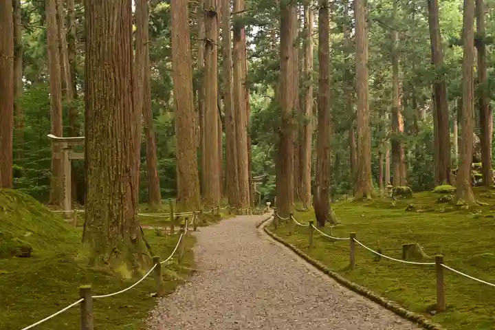平泉寺白山神社(福井県)