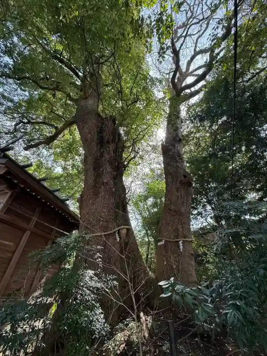 今宮神社(静岡県)