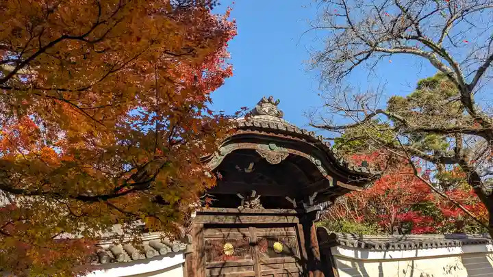 妙顯寺(妙顕寺)(京都府)