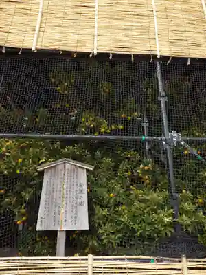 平安神宮(京都府)