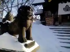 札幌諏訪神社の狛犬