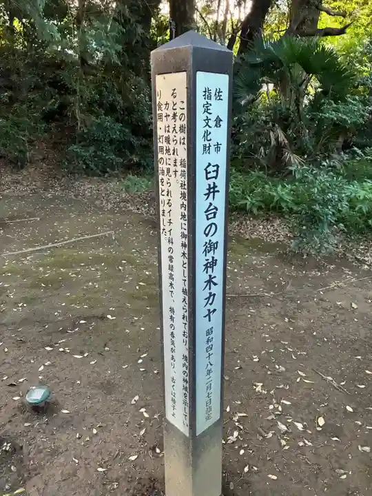 稲荷神社(千葉県)