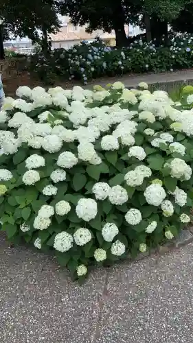性海寺(愛知県)