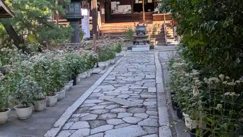 行願寺（革堂）(京都府)