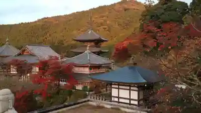 南法華寺（壷阪寺）(奈良県)