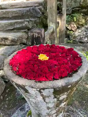 丹生都比売神社(和歌山県)