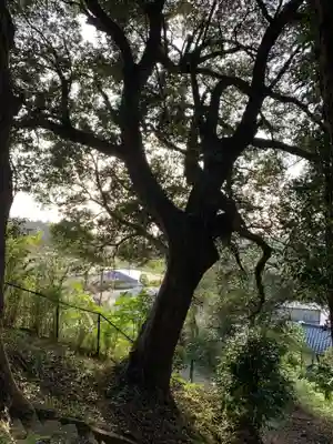 愛宕神社(千葉県)
