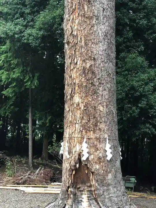 滑川神社 - 仕事と子どもの守り神(福島県)