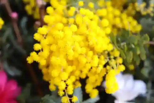 三津厳島神社の手水舎