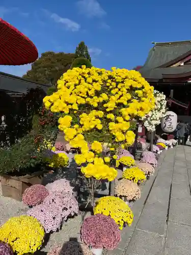 笠間稲荷神社(茨城県)