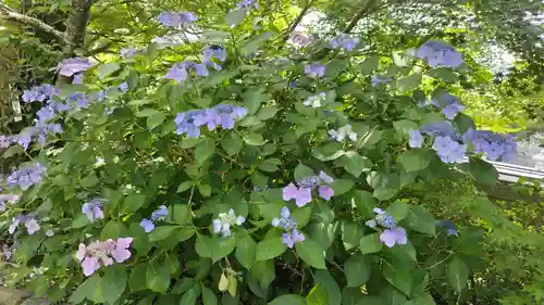 出雲大神宮(京都府)