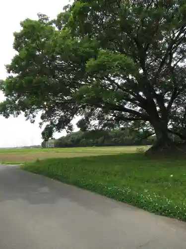 神明神社(千葉県)