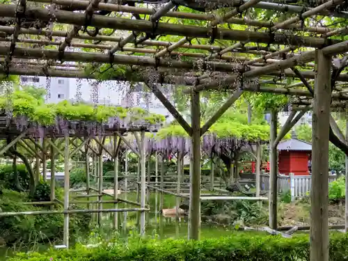 亀戸天神社(東京都)
