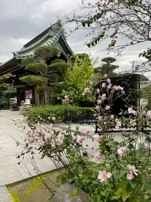 長谷寺(神奈川県)