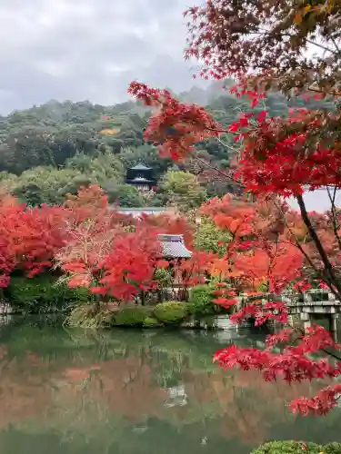 禅林寺（永観堂）(京都府)