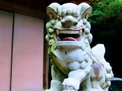 吉田杉山神社の狛犬