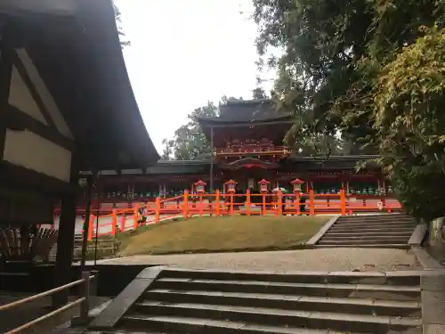 春日大社の{uncategorized: "未分類", other: "その他", undefined: "問題あり", building: "その他建物", grave: "お墓", sacred_gate: "鳥居", guardian: "狛犬", statue: "像", buddha: "仏像", history: "歴史", nature: "自然", garden: "庭園", animal: "動物", pagoda: "塔", temizu: "手水舎", mountain_gate: "山門・神門", sanctuary: "本殿・本堂", subordinate: "末社・摂社", art: "芸術", scenery: "景色", jizo: "地蔵", ema: "絵馬", goshuin: "御朱印", omikuji: "おみくじ", items: "授与品その他", amulet: "お守り", goshuincho: "御朱印帳", eats: "食事", festival: "お祭り", votive_dance: "神楽", shichigosan: "七五三参", wedding: "結婚式", experience: "体験その他", initially: "初詣", around: "周辺", anti_infection: "感染症対策"}