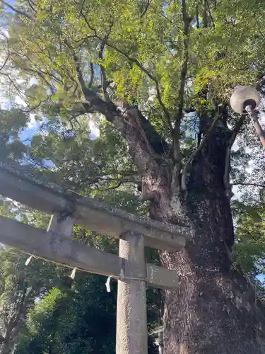 五所神社(神奈川県)