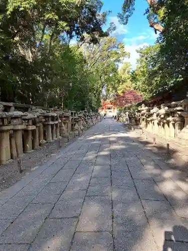 石清水八幡宮(京都府)