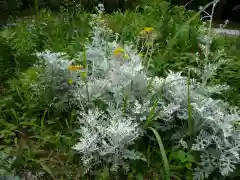 倭姫宮（皇大神宮別宮）の自然