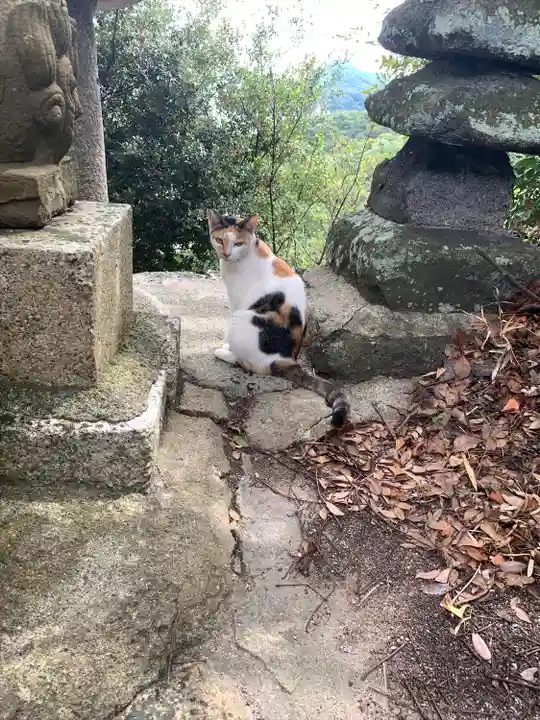 豊玉姫神社の動物