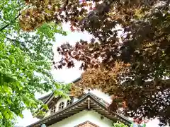 諏訪護国神社(長野県)