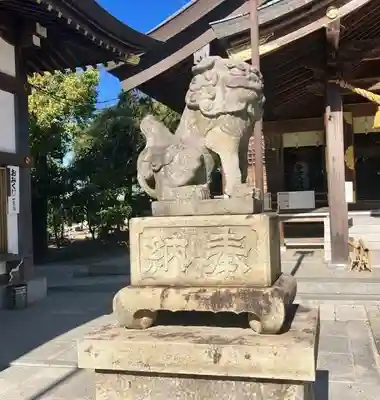 八幡社（寺津八幡社）の狛犬