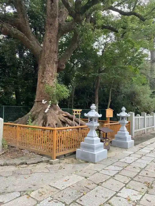 和泉國一之宮 大鳥大社の自然