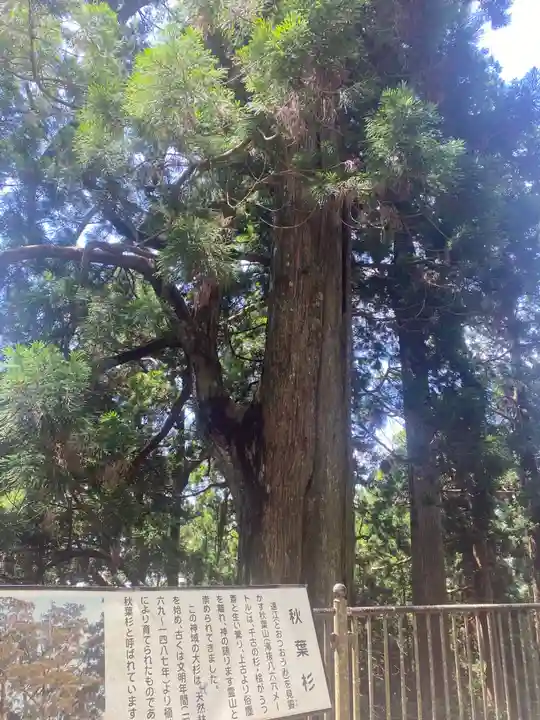 秋葉山本宮 秋葉神社 上社(静岡県)