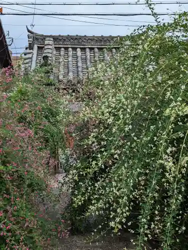 勝念寺（かましきさん）(京都府)