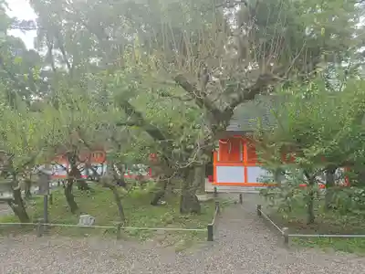 北野天満宮(京都府)